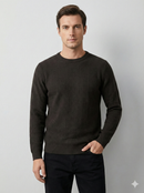 Men's crew-neck Jacquard sweater H031