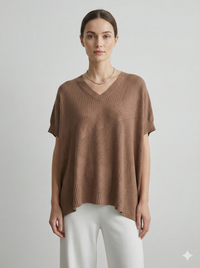 Spring/Summer V-neck Short-sleeved Women's Sweater H6801