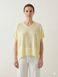 Spring/Summer V-neck Short-sleeved Women's Sweater H6801