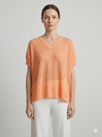 Spring/Summer V-neck Short-sleeved Women's Sweater H6801